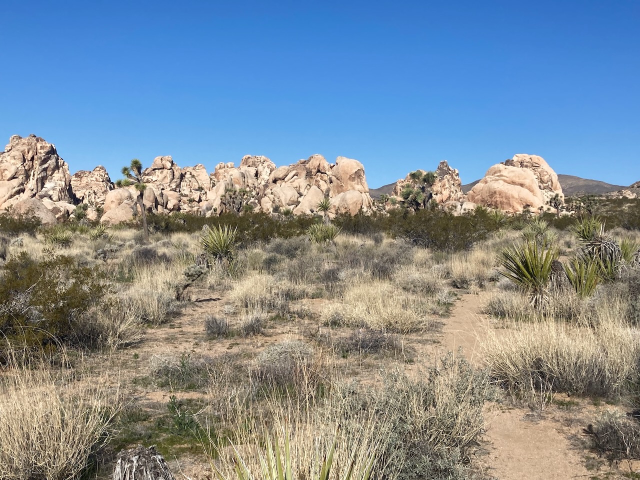 Lava Dome