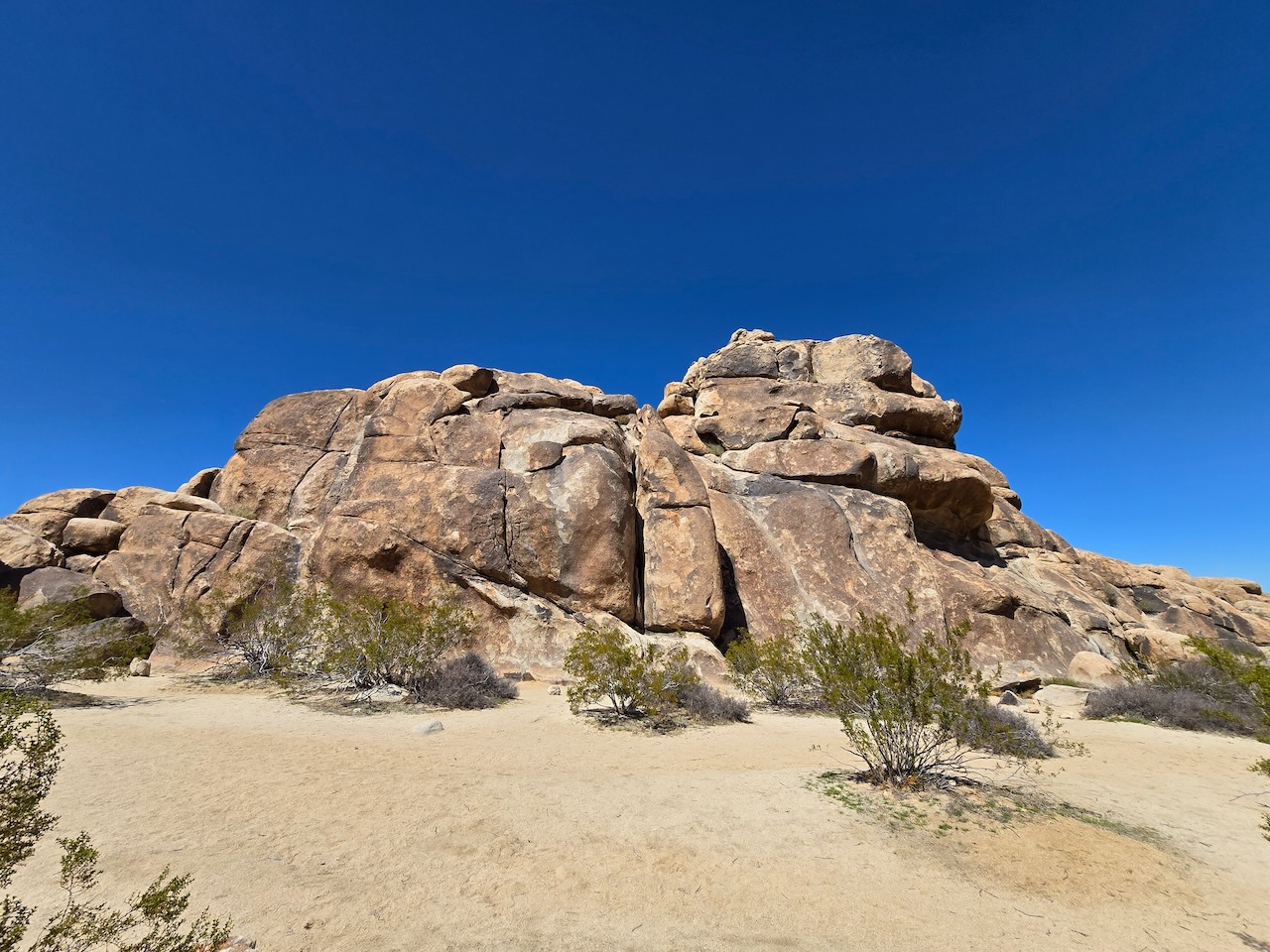 Morbid Mound