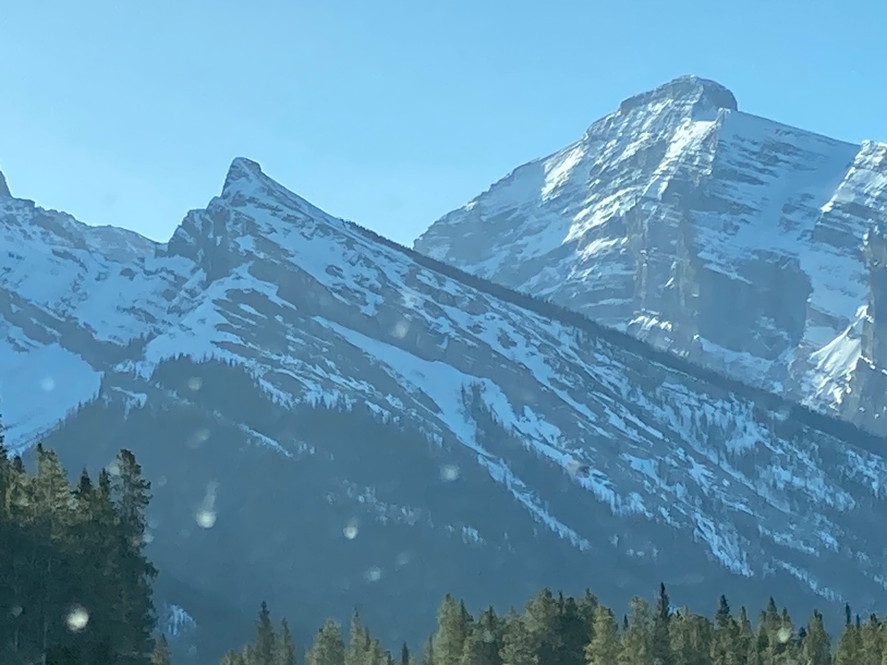 Little Lougheed