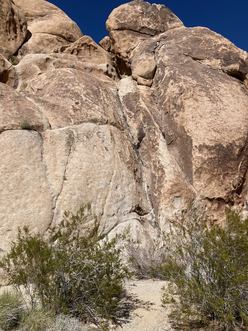 Indian Cove Campground