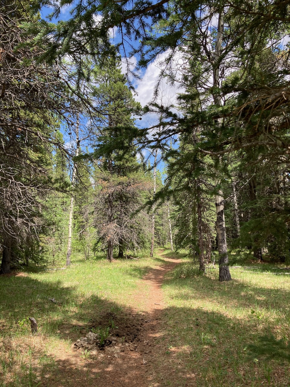 Ford Creek and Ford Knoll