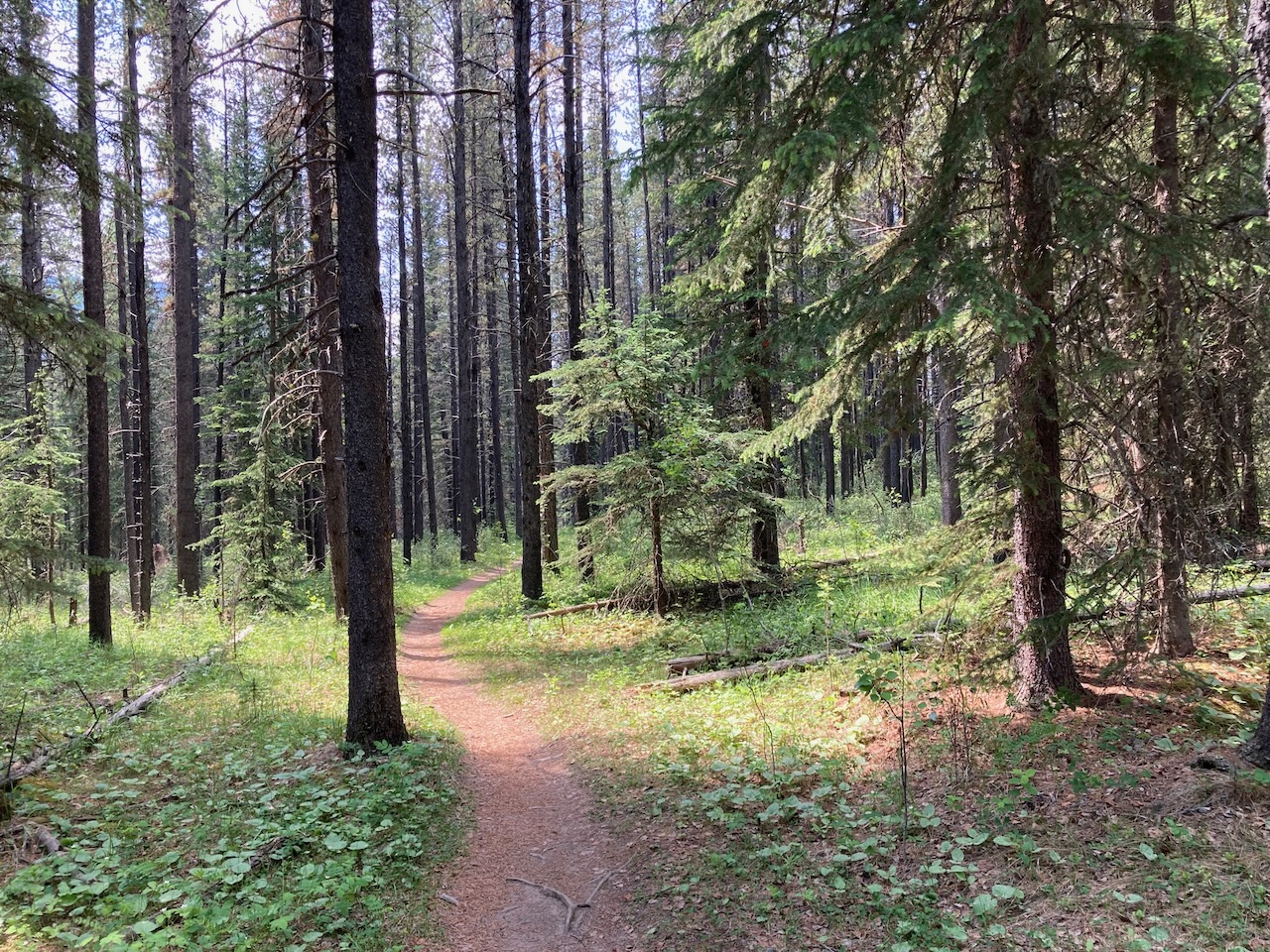 Elbow Valley Trail