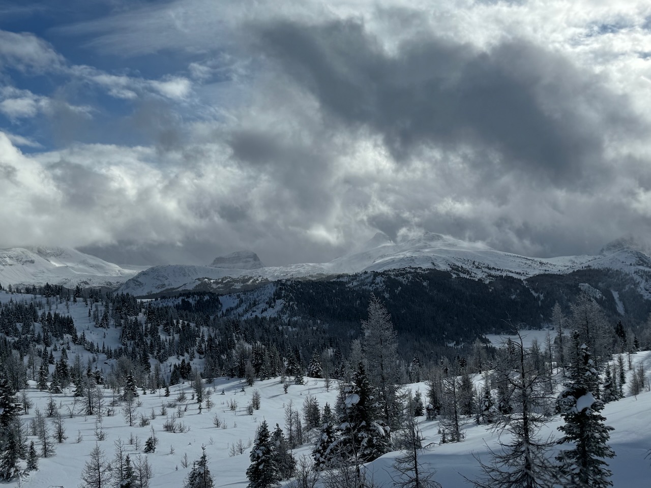A snowy slope with forested hills in the background.