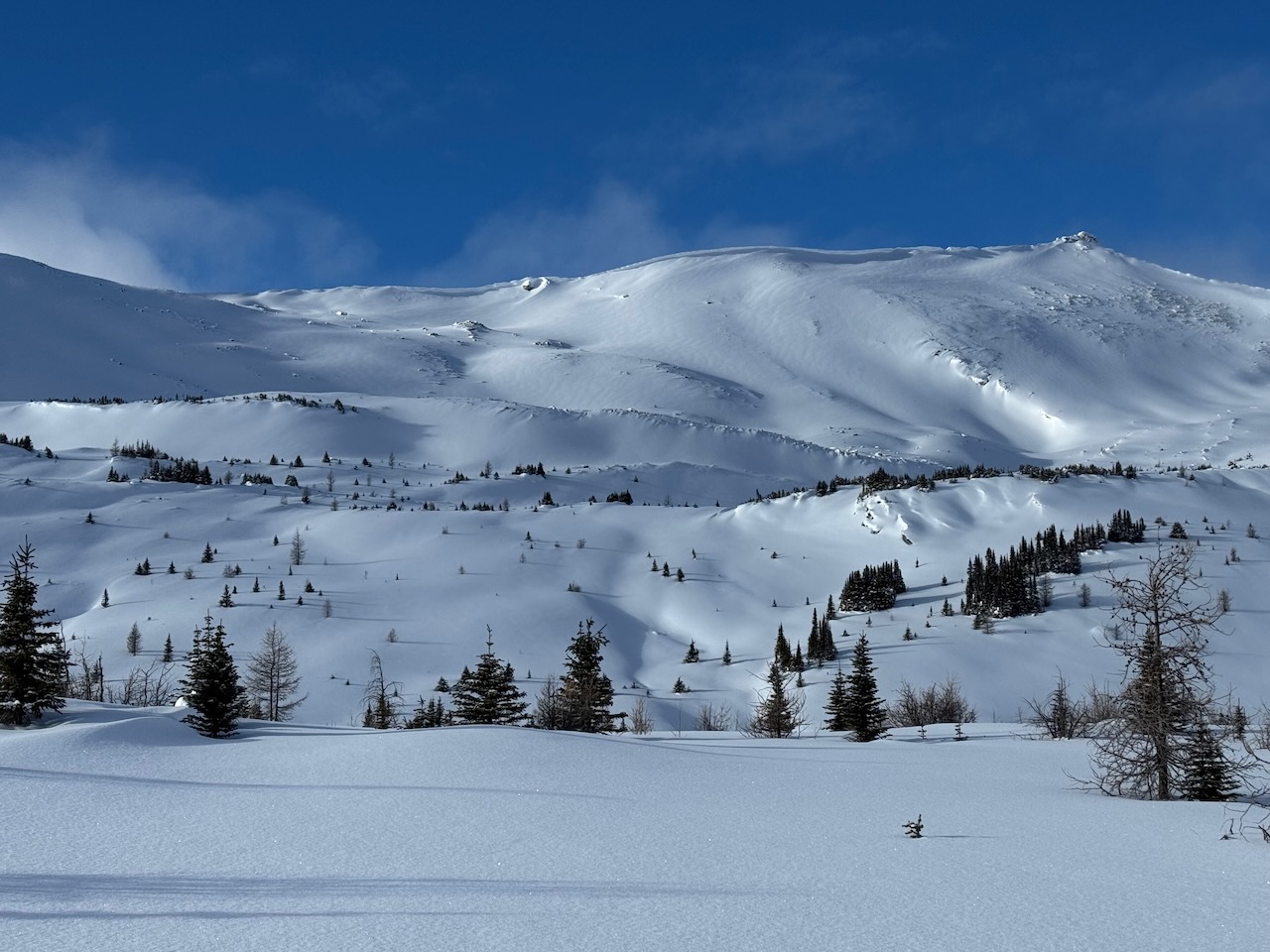 A snowy mountain slope with blue skies