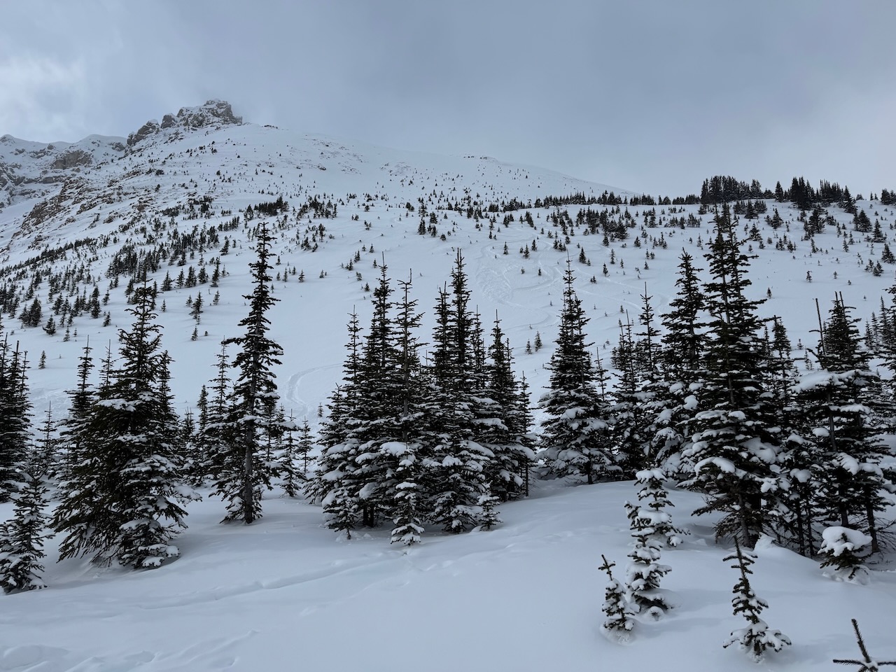 A snowy ridge with ski tracks at Bow Summit.