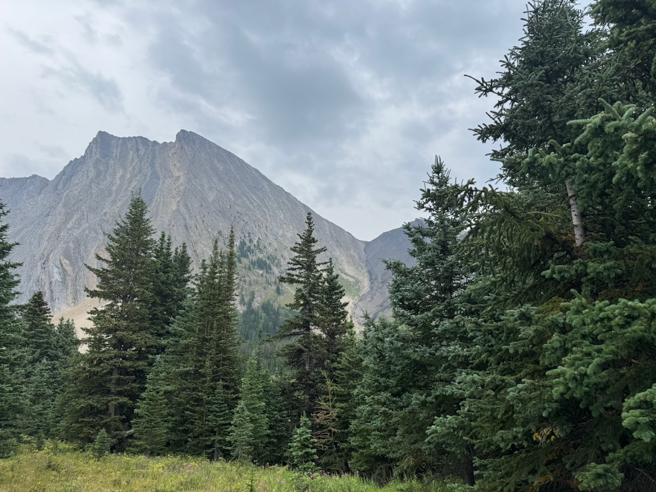 Mount Chester from the hiking trail showing the ascent gully.