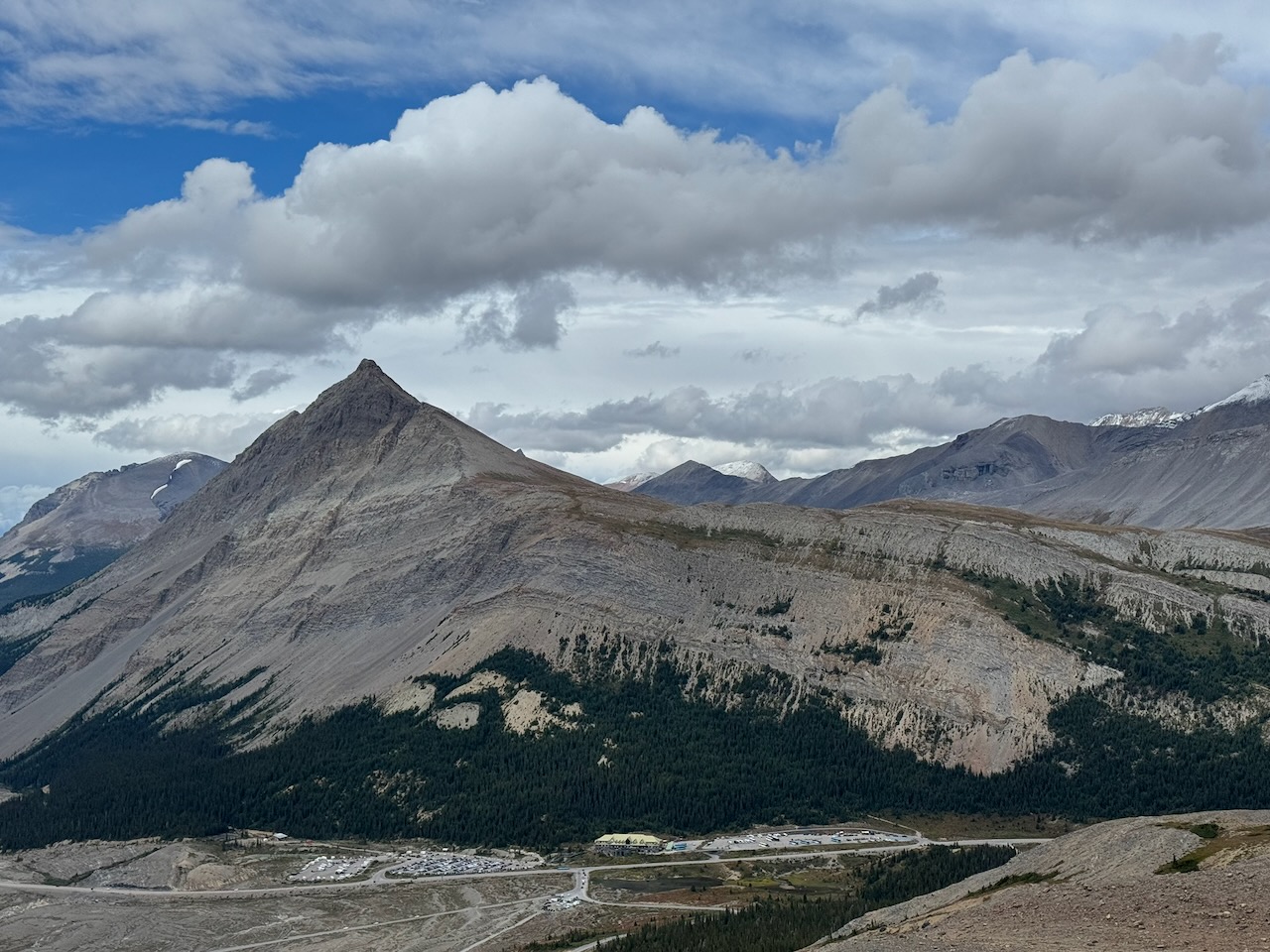 Mount Wilcox